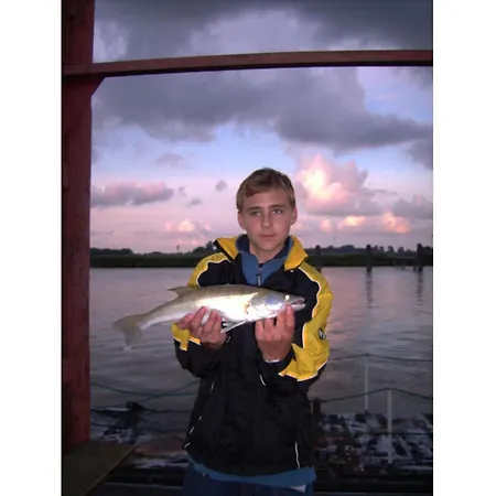 בית נופש Buchbinder 5 Comfortable