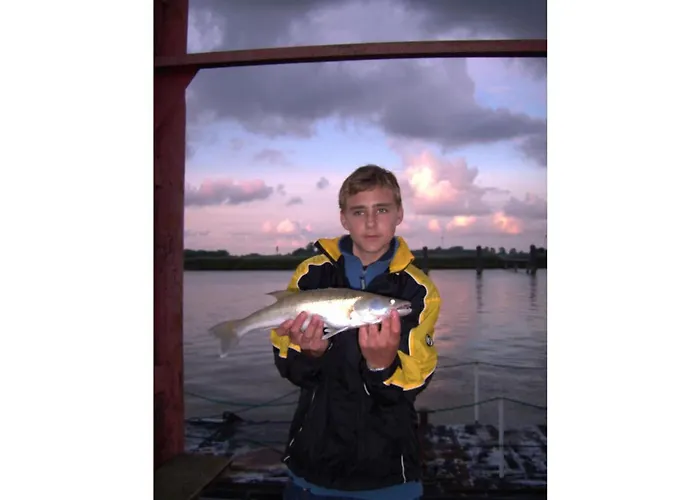 別荘 Buchbinder 5 Comfortable