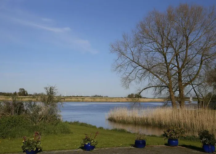 Buchbinder 5 Comfortable *